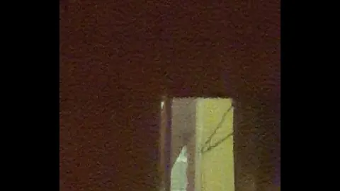 我 要 看 做爱 的 视频