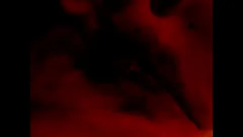 极端性交 · 四
