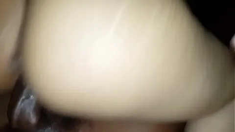 性感女郎 · 性感女神 · 四