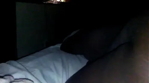 影片 免费黄色网站成年人