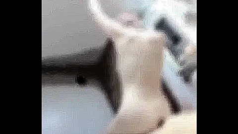 巨大屌 · 黑人巨大屌群交