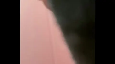 大吊日逼视频免费的