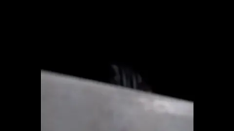 高清 性爱 影片 · 五