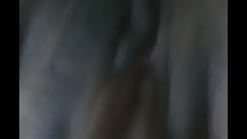 美女全黄视频